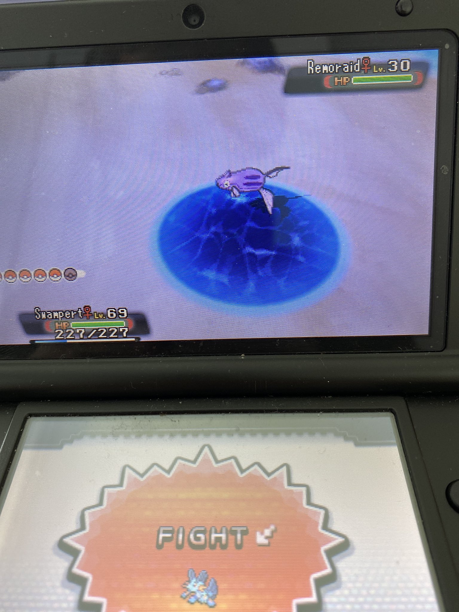 Red Shiny Remoraid 72 Chain Fishing Combo On Oras Shinypokemon Oras Pokemon Shinyhunter Pokemonomegaruby T Co 5sv4pofhf1 Twitter