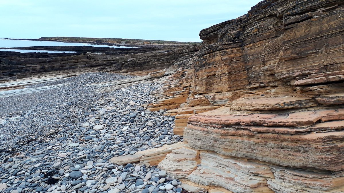 The rocks here are Old Red Sandstone, rock that was formed during the Devonian period which was between 419 and 359 million years ago.Sandstone is one of the best rocks for finding fossils.