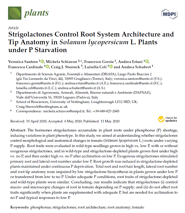 New Publication:
Strigolactones Control Root System Architecture and Tip Anatomy in Solanum lycopersicum L. Plants under P Starvation
mdpi.com/2223-7747/9/5/…