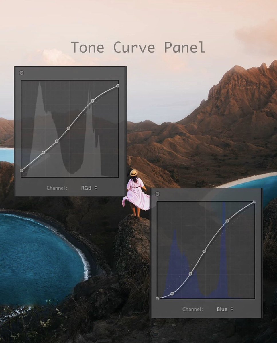 After the basic adjustment, you go to Tone Curve Panel and make the adjustments as seen here. It’s not that difficult