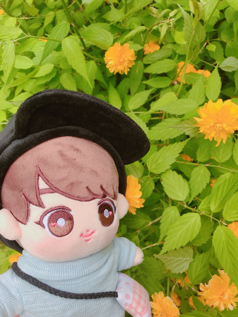 LITTLE JIN(2018)by  @Littlebts_fam