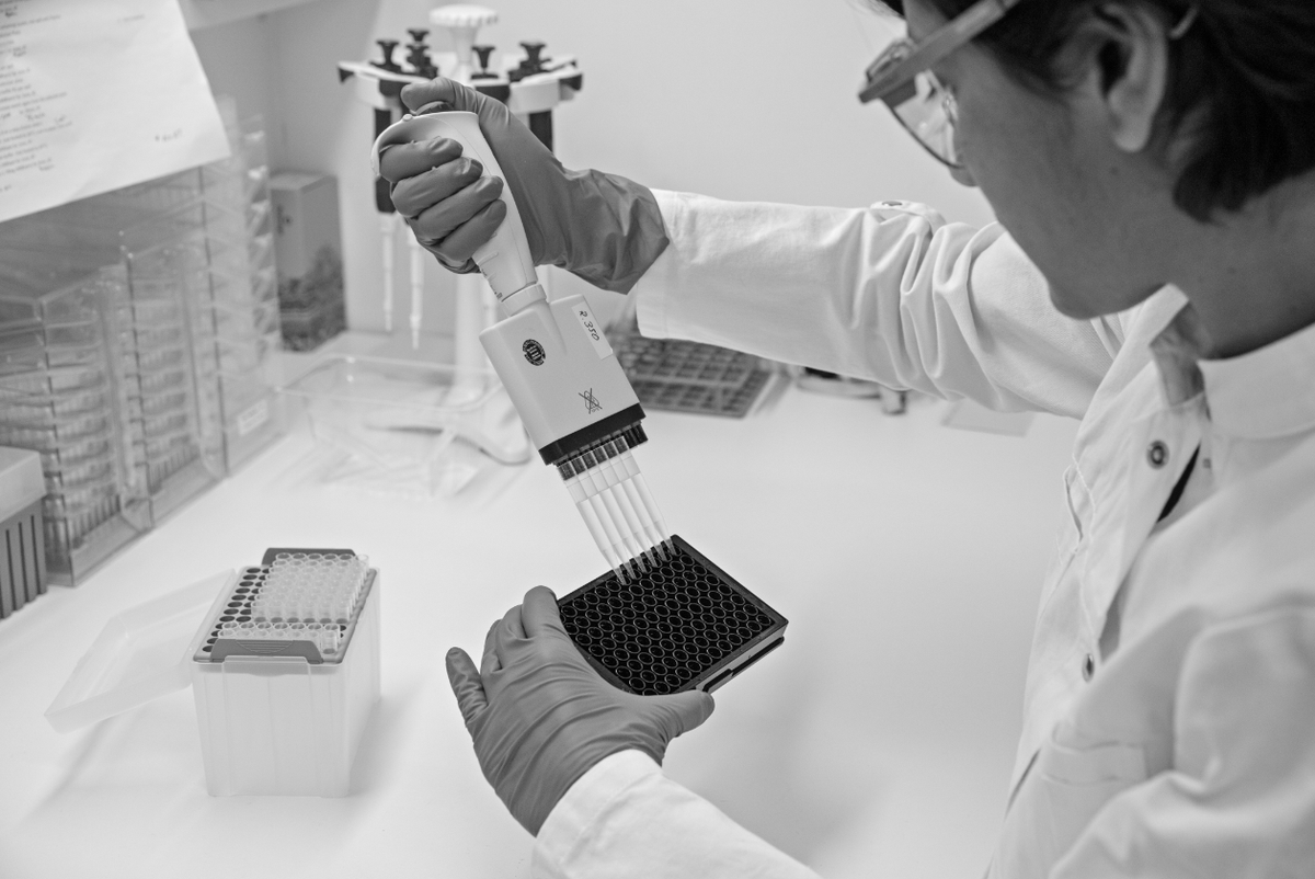 SilenceTheraPlc's tweet photo. Knowing the sequence of the #HumanGenome means that therapeutic siRNA molecules can be identified quickly, ready to be tested in the relevant models. Understand more about our strategy for speed, scale, rigour, flexibility and commerciality: https://t.co/r8nNvYs3iV #GeneScience https://t.co/XDyRbbzBYZ