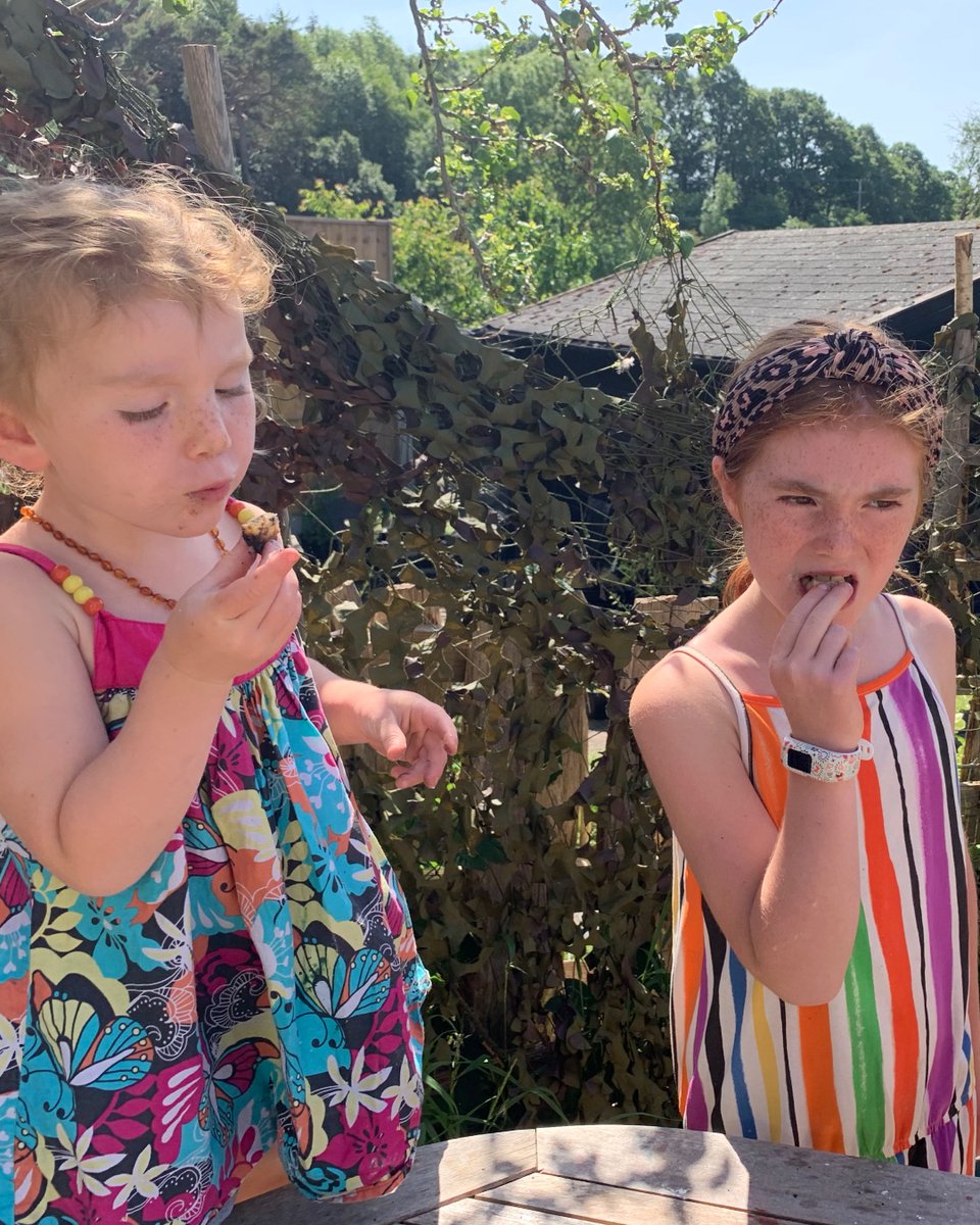 outback2basics tweet media