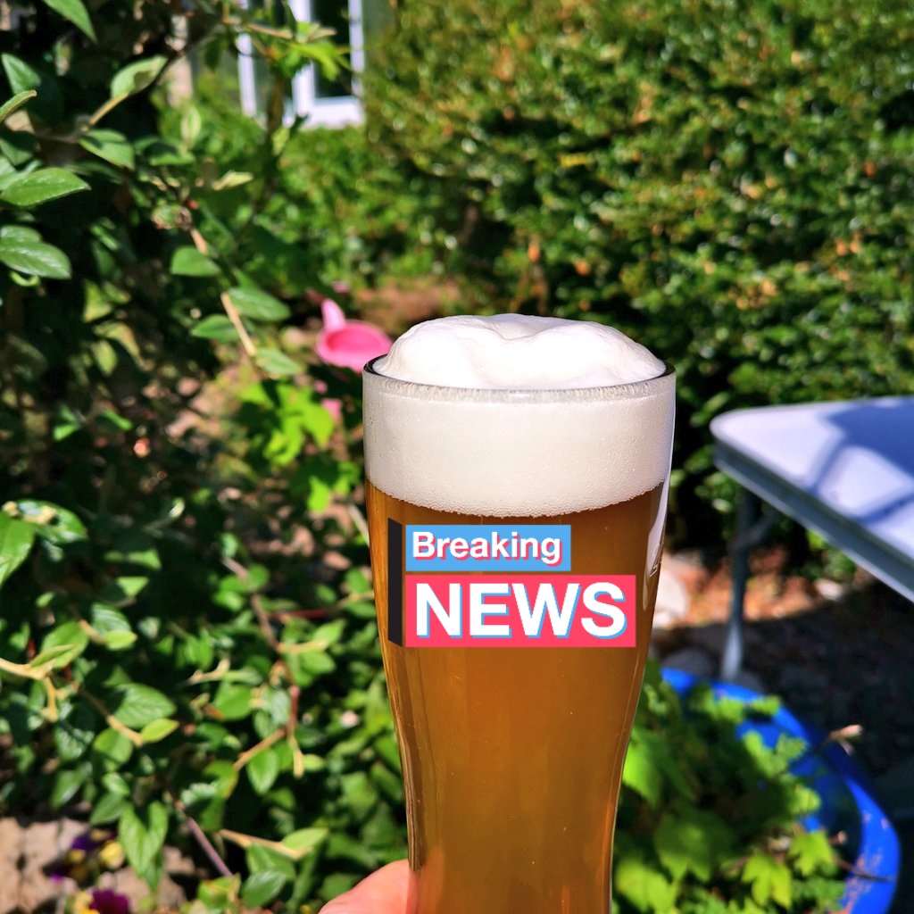 7 brews in 7 days 1 staff.  Guaranteed to be as good as described on the label. Day off going to enjoy this authentic bavarian style pilsner. Watch this space! #authenticpilsner #authentichelles #authenticweissbier #authenticales #properlyfresh #properlyonstyle #local #handmade