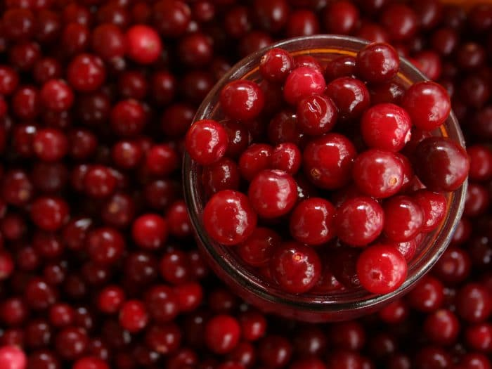 Cibum4's tweet photo. La #cistite, un'#infiammazione che colpisce soprattutto le #donne. Fastidiosa, procura #dolori e #bruciore. Il #mirtillo #rosso è una possibile soluzione. Scopri come. https://t.co/DWFIXAR3KZ #cibum #adiitalia #alimentazione #dieta https://t.co/pKmuevWkk2