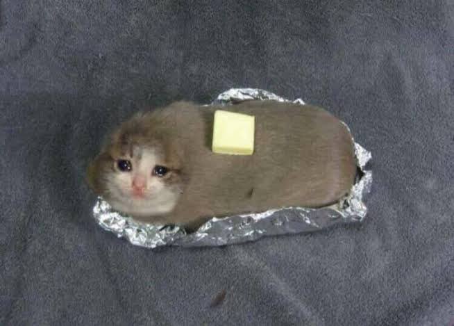 Crying Cat Thumbs Up Meme Deeper crying-cat-thumbs-up-meme-deeper