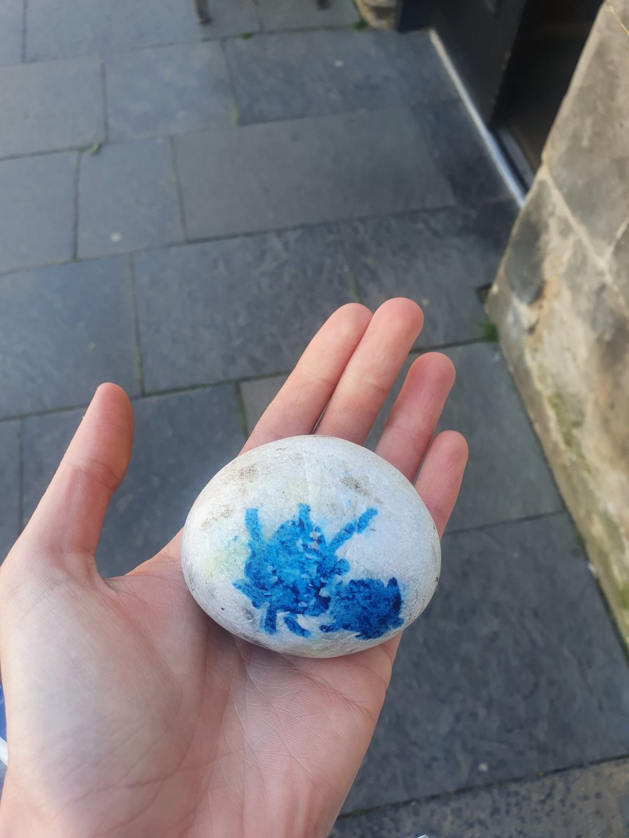 P1/2 and Miss Brackenbury have created some #lockdownladybirds. They are hidden all around Pittenweem. If you spot one help it travel around the village and move it to a new spot within the village. Don't forget to post a picture with the #lockdownladybirds  😁🐞 #pittenweem