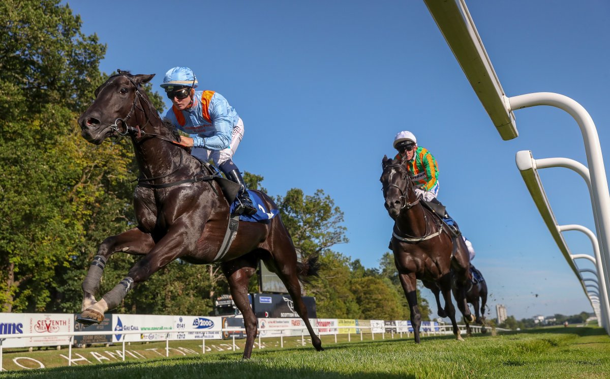 Equestrian Influence tweet media