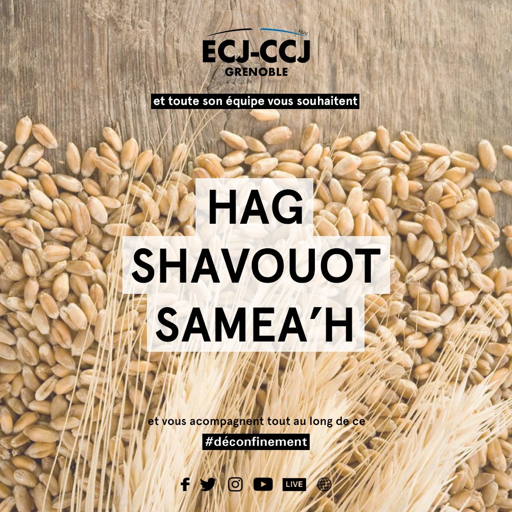 ecjccj's tweet photo. 🌾 Hag #Shavuot Samea’h de la part de toute l’équipe de l’ECJ-CCJ! 💙 https://t.co/GHt9RyvRV7