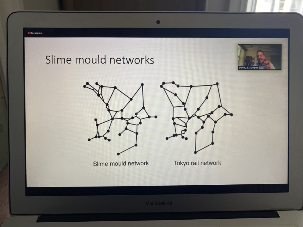 Conor_Corcoran_'s tweet image. From ‘Slime Mould’ to ‘Barcelona’ 💡 @Soccermatics @IrishRugby #Analytica2020