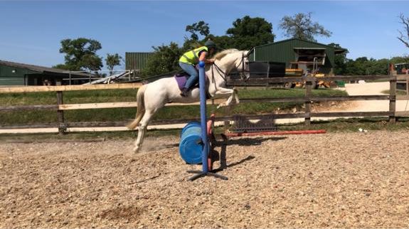 Shulton_Fay's tweet image. Brave pants on getting ready for the fun ride 😝😍#pigeonisland #pigsdofly