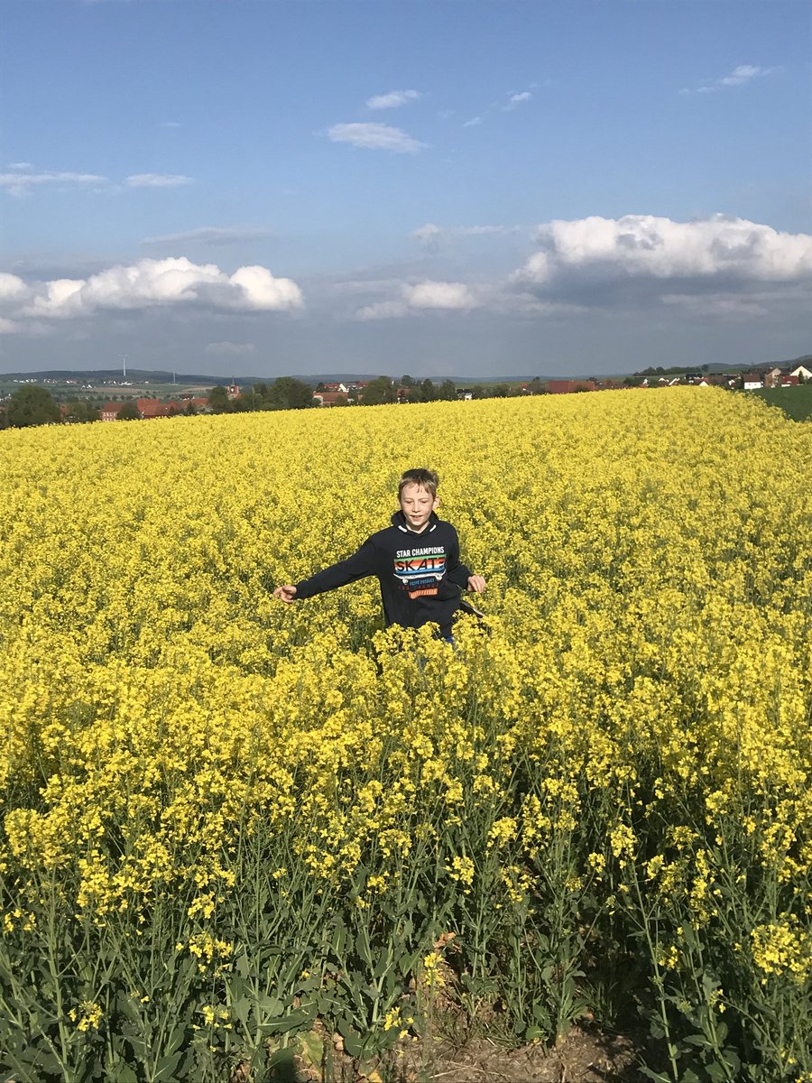 GymHim's tweet photo. Und auch unsere SuS-Aktion #FohlenimStall ist noch nicht beendet. Wenn unsere jüngsten Fohlen bis Mitte Juni schon nicht zur #Fohlenkoppel dürfen, dann bedarf es umso mehr guter Ideen für Ihre Freizeit. Ricardo Hübner aus Jahrgang 5 macht es vor! https://t.co/dnUSJCfo4D