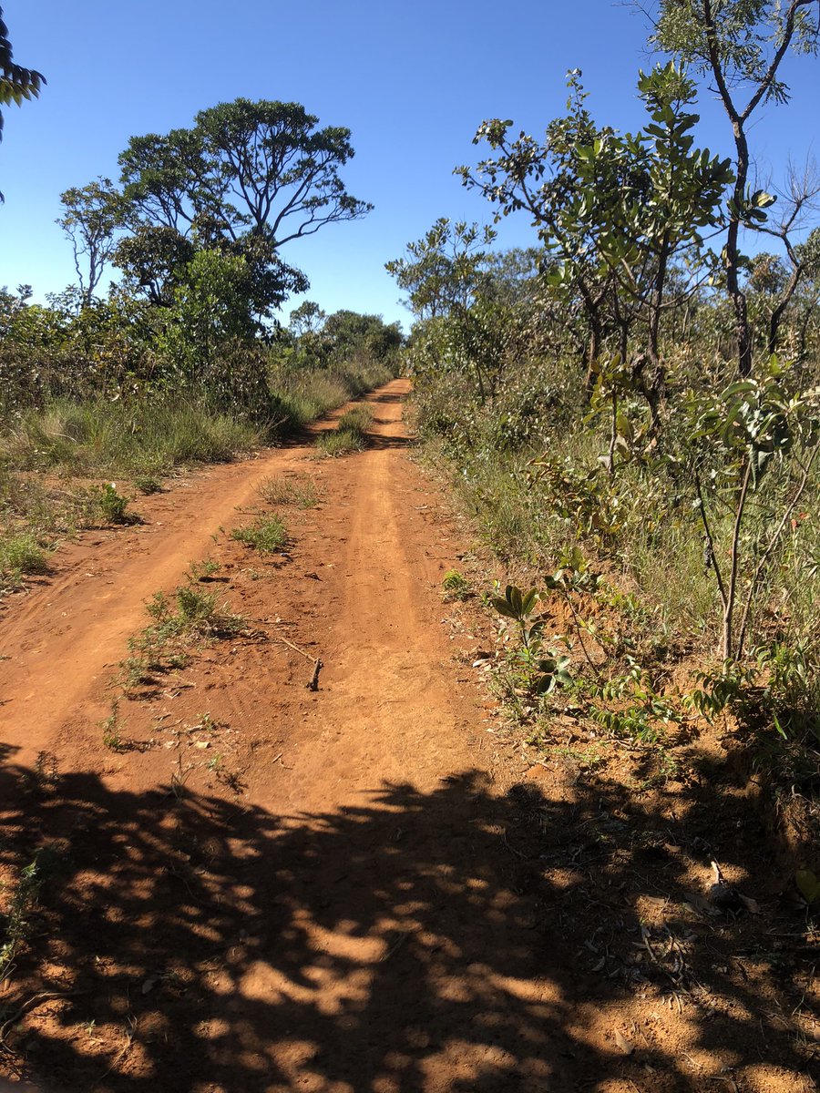 betocomb's tweet photo. Correr não é complicado.
#corrida #correr #trilha #ruuner #running https://t.co/LWsnqd2zFj