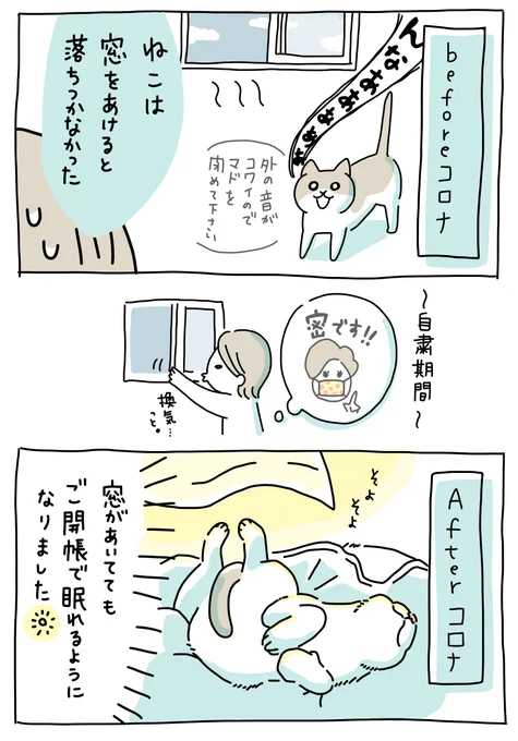 コロナbefore・after。
ねこが、少しだけ大きなおとこになった気がします😽👍

#猫のいる暮らし #アフターコロナ 