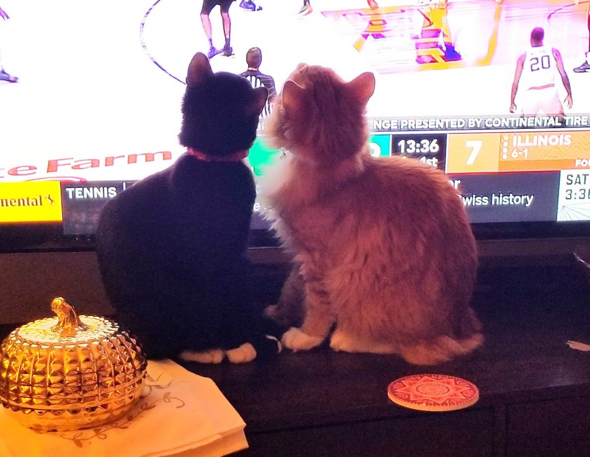 Once upon a non-coronavirus time they watched basketball together