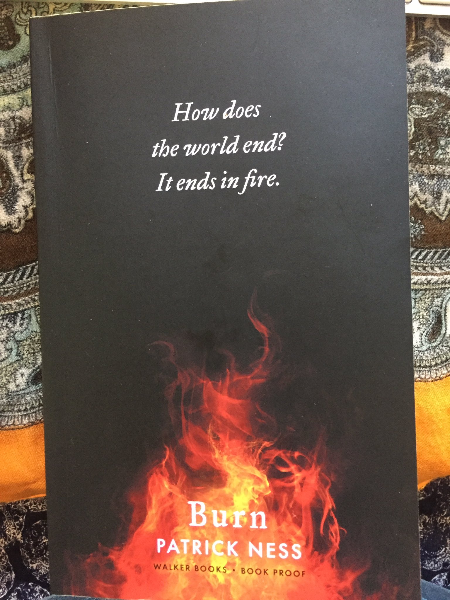 View Burn Patrick Ness Book Cover Pics