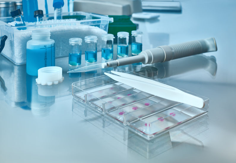 NEW #JobOpportunity at Biomedcode for the position of a #ResearchTechnician with experience in #Histology and basic #MolecularBiologyTechniques.
For more information visit  biomedcode.com/career-opportu… and send your CV at info@biomedcode.com
#Mice, #DNAisolation, #PCR