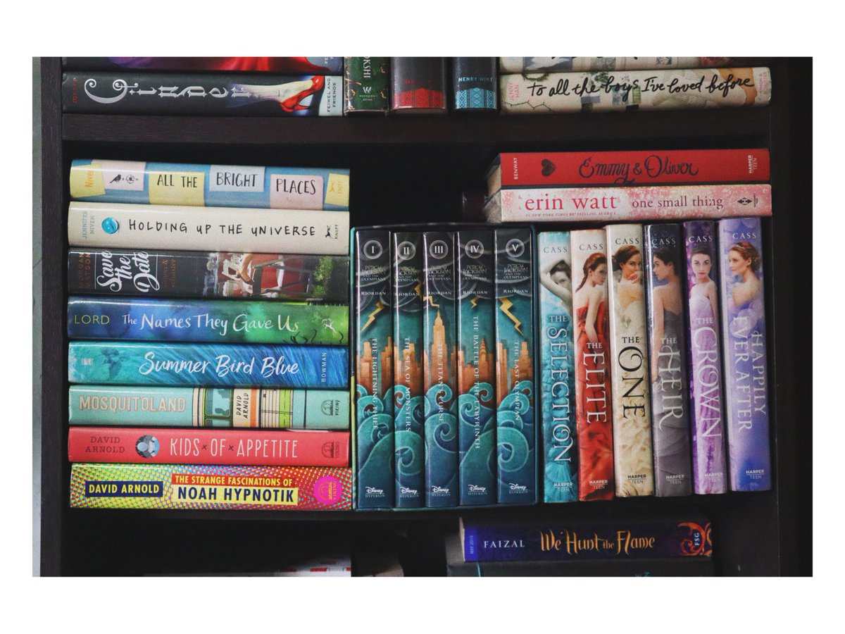 The books that I chose to display front and center are some of my favorites. There, you’ll see books from multiple series like Percy Jackson and The Olympians (which happen to be the books that got me into reading), The Selection (because I’m trash for royal romance stories)—