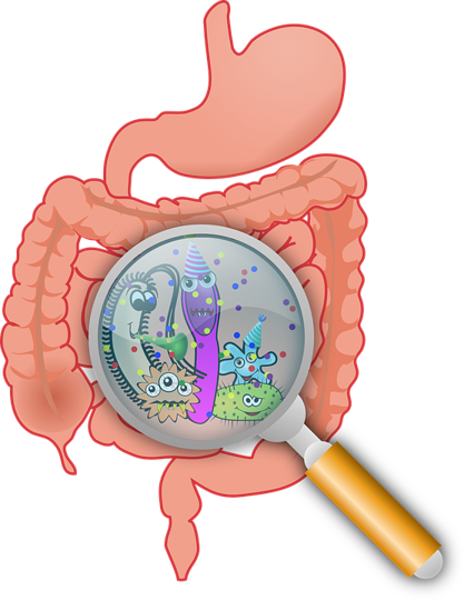 biohithealthuk's tweet photo. The #NonInvasive GA-map Dysbiosis Test can help in the diagnosis, monitoring and evaluation of response to treatment in #digestive diseases. Results can even be used to identify #IBS patients that would benefit from a low #FODMAP diet. https://t.co/ciq3w44bfX #dysbiosis https://t.co/dSJkFY1pPZ
