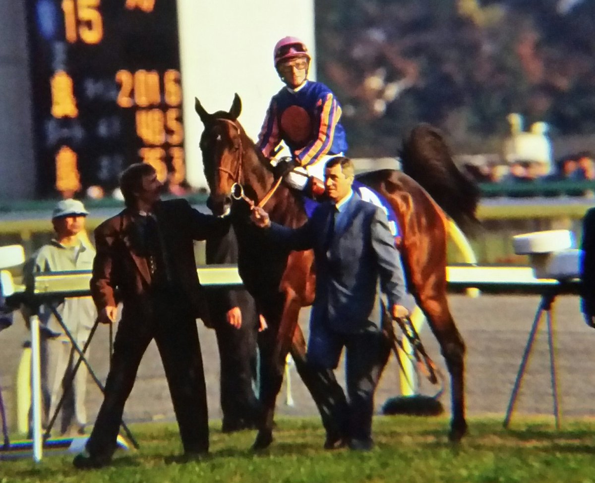 かずpart ありがとう京都競馬場 世界のダービー馬 99年 仏ダービー 愛ダービー モンジュー 父 Sadler S Wells 仏ダービー 愛ダービーを勝ち秋の凱旋門賞ではエルコンドルパサーを破りジャパンカップへ参戦 調子が良くなかったらしいが４着に入っ