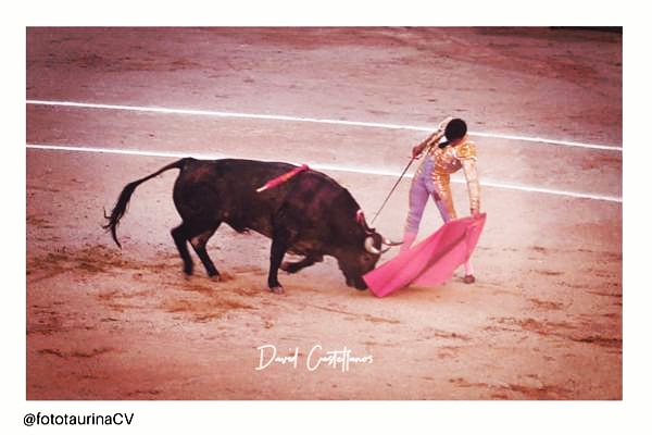 El toreo al natural de Ángel Sánchez.

<a href="/Angel_Sanchez12/">Angel Sanchez</a> #AngelSanchez #FotoTaurinaCV