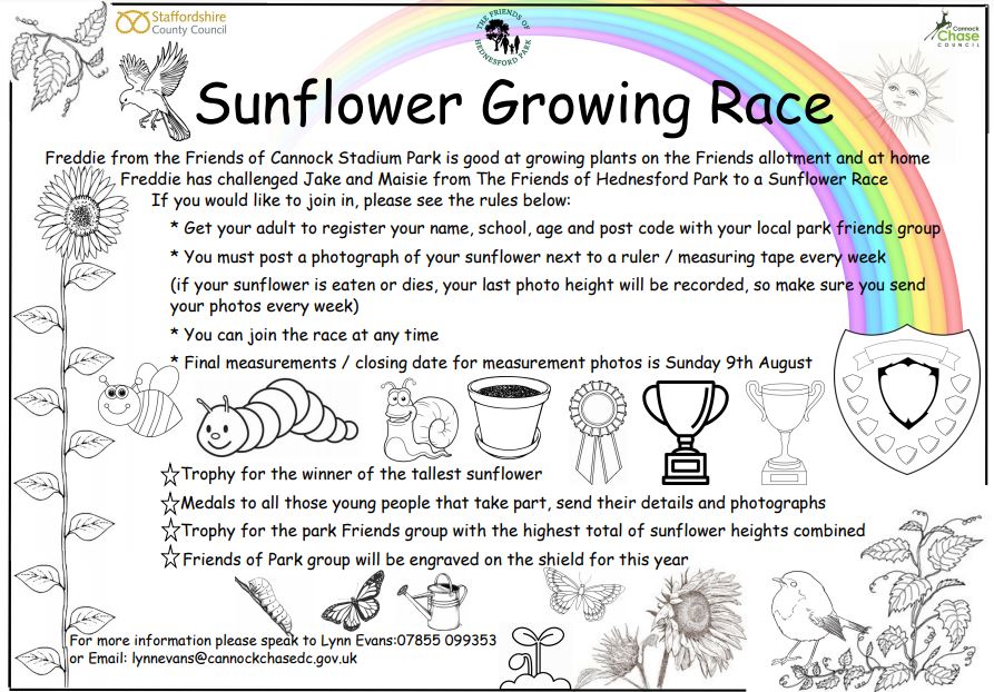 Friends of #Hednesford Park and Friends of #Cannock Stadium Park are holding a Sunflower Growing Race and here's how to get involved 🌻🌻🌻