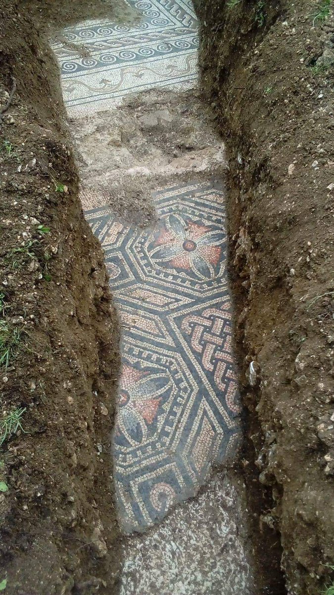 RetoHistorico's tweet photo. Me encantan las fotografías del mosaico descubierto al norte de Verona (Negrar di Valpolicella) en un viñedo. 
 Ese pedacito de historia que asoma tras siglos oculto https://t.co/KTy316rFZI