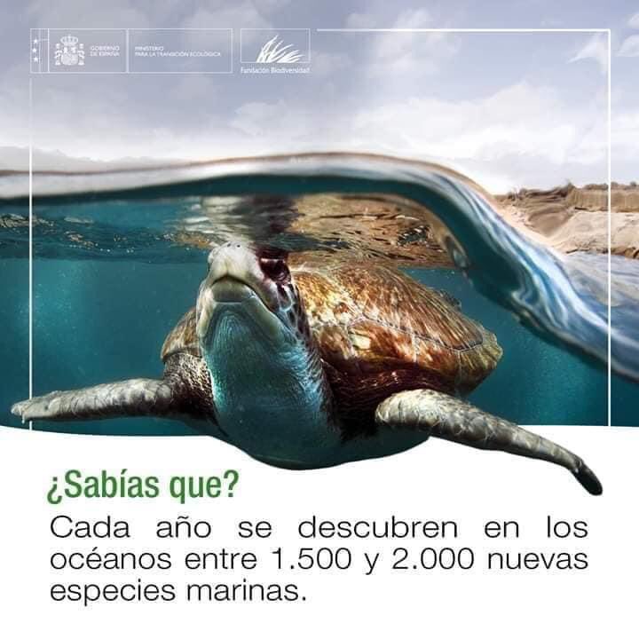 BiocaBiologia's tweet photo. https://t.co/yxc49BwxC0