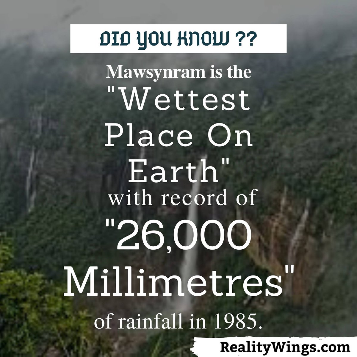 RealityWings's tweet photo. More #than #guiness #book of #world #record of #highest #rainfall, it also #receives #about 11873 #millimetres of #rain #anually. In this are #monsoon #remains #almost 6 #months #long #directly after #winter. so winters #days are #spent for #preparation for #long monsoon. https://t.co/yymRQm1PKU