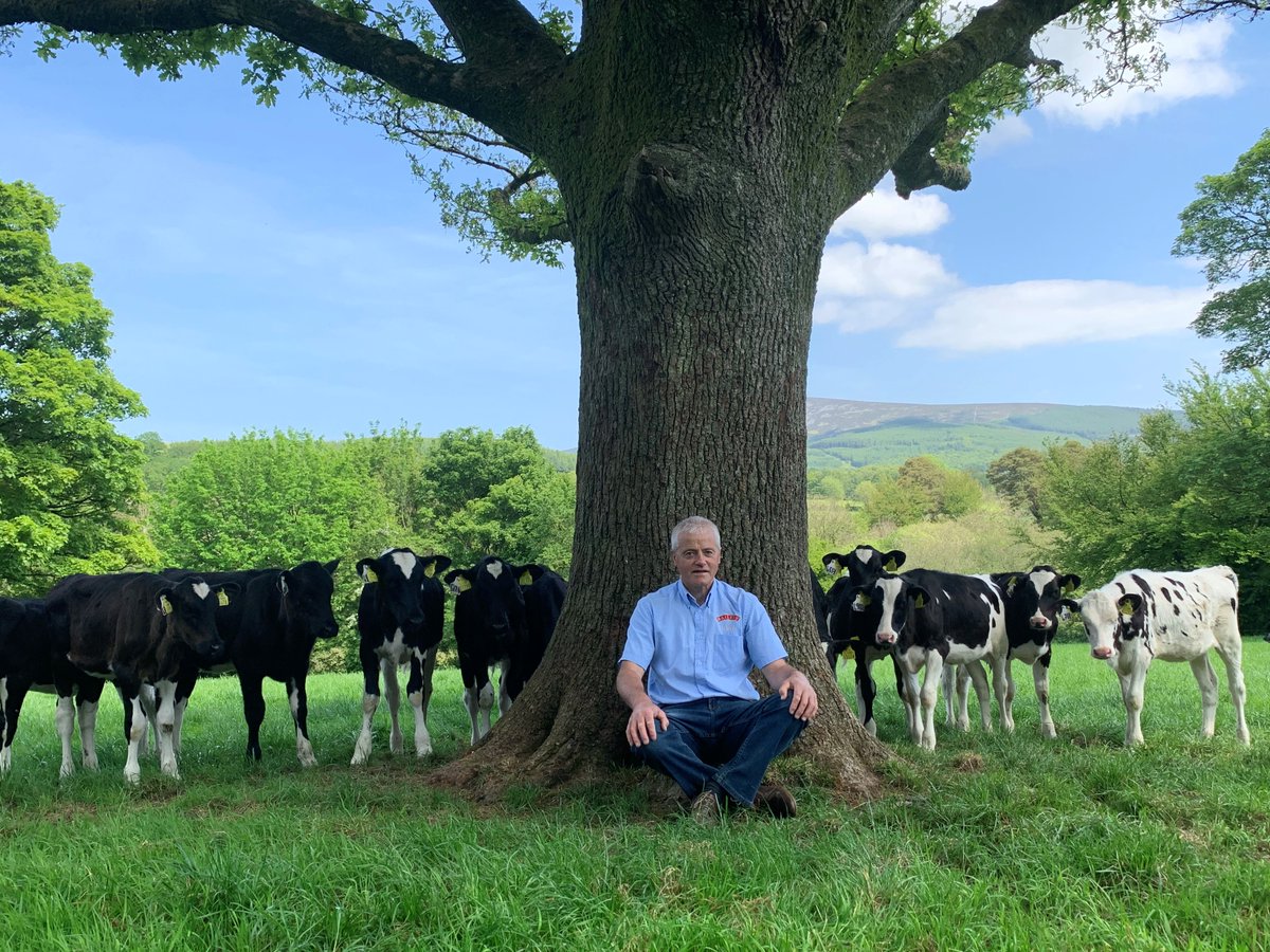 Joe seeking enlightenment on the Baileys Farm! 😌🌳🐄
#baileysfarm #newcalves #greatoutdoors #oaktree #wisdom #reflection #inspiration #positivity #life #staywell