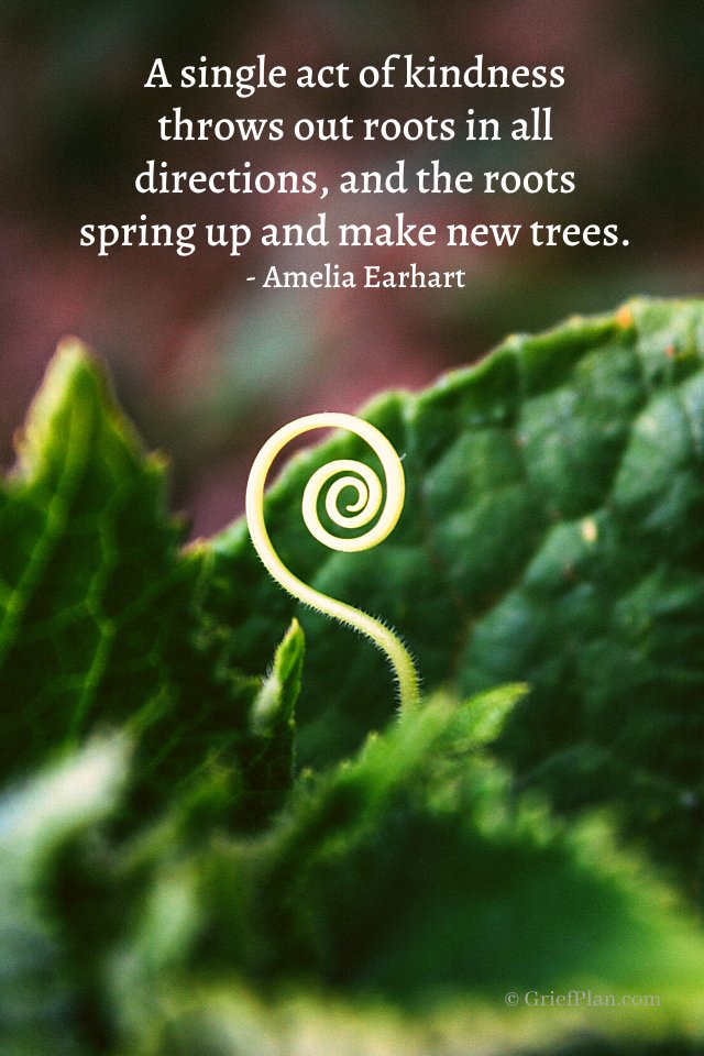 SmithLifeLegacy's tweet photo. "A single act of kindness throws out roots in all directions, and the roots spring up and make new trees." - Amelia Earhart https://t.co/rFDtGLuidU