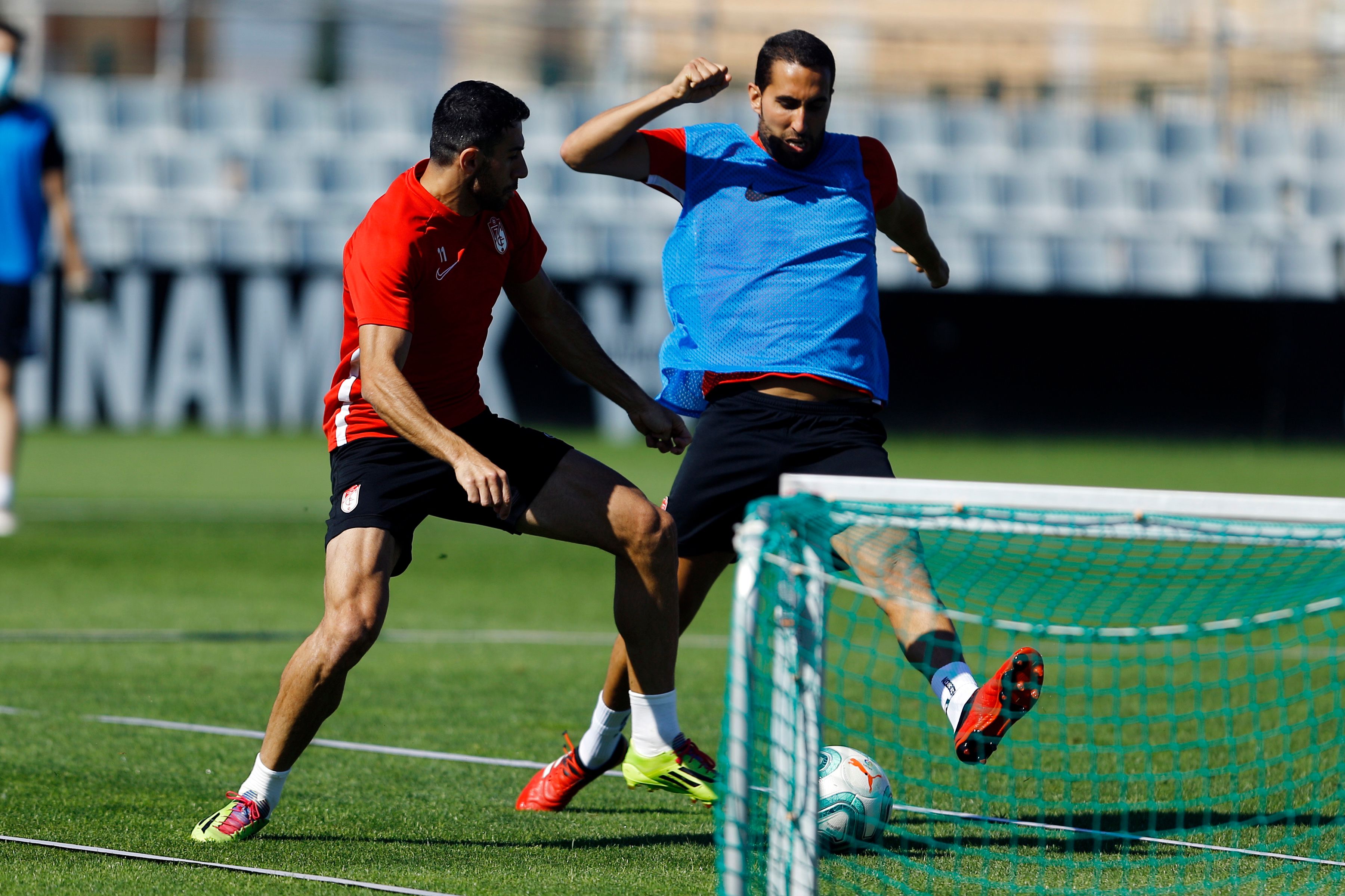 Los jugadores del Granada, en la sesión de este jueves (Foto: GCF).