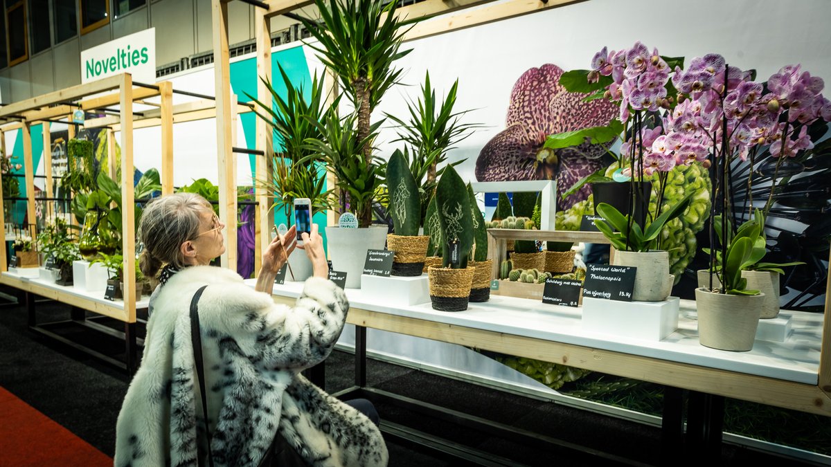 Breng snel uw stem uit voor de Glazen Tulp 2021! De eerste stemronde gaat bijna sluiten. Nieuwsgierig naar de noviteiten van dit jaar? Ga naar royalfloraholland.com/glazentulp en  help uw favoriet naar de volgende ronde. #glazentulp #noviteiten #sierteelt