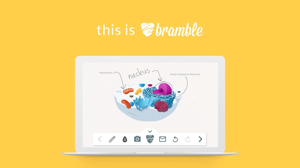 bramble_io's tweet image. Bramble can now be integrated with @TutorCruncher

buff.ly/2TFjYCL

#TutorCruncher #Bramble #EdTech #OnlineTutoring