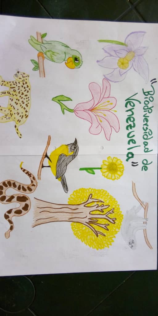 lnfranciscomsc's tweet photo. Estudiantes de 4to año de nuestra institución @lnfranciscomsc realizan actividad sobre Biodiversidad de nuestro país Venezuela utilizando diferentes ideas @charlychaves @ZonaEducTachira @clbtachira @MPPEDUCACION @NicolasMaduro @wendyyusle @Crazet2011 https://t.co/2BgKjnGUGC