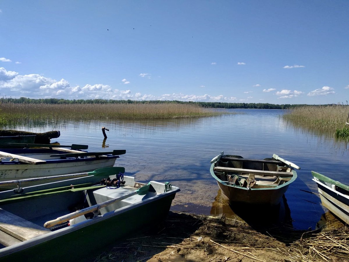 VSIA_LVGMC's tweet photo. Saukas ezerÄ kopÄ ar kolÄÄ£iem no LUBI un BIOR pÄtÄm Å«dens fizikÄli-Ä·Ä«misko un bioloÄ£isko kvalitÄti, kÄ arÄ« zivis un to barÄ«bas bÄzi. Tas palÄ«dzÄs noteikt ezerÄ notiekoÅ”os dabiskos procesus un arÄ« ietekmes no ietekoÅ”ajÄm upÄ«tÄm un grÄvjiem. #LIFE #GoodWaterIP #GoodWater #LVÄ¢MC https://t.co/BZIR9iEF1c