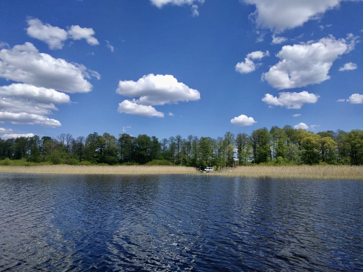 VSIA_LVGMC's tweet photo. Saukas ezerÄ kopÄ ar kolÄÄ£iem no LUBI un BIOR pÄtÄm Å«dens fizikÄli-Ä·Ä«misko un bioloÄ£isko kvalitÄti, kÄ arÄ« zivis un to barÄ«bas bÄzi. Tas palÄ«dzÄs noteikt ezerÄ notiekoÅ”os dabiskos procesus un arÄ« ietekmes no ietekoÅ”ajÄm upÄ«tÄm un grÄvjiem. #LIFE #GoodWaterIP #GoodWater #LVÄ¢MC https://t.co/BZIR9iEF1c