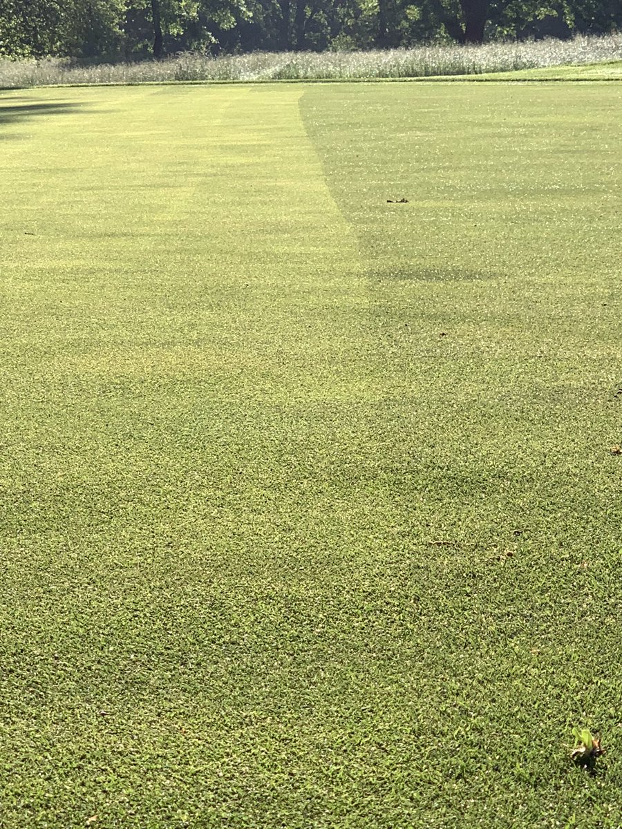 baker_cameron's tweet photo. Peel it off and Roll it down this AM after a 2xVerticut and light TD on Tuesday after the holiday. #LittleOffTheTop @LCCGrounds1908 https://t.co/Yhc9p9C3Dg