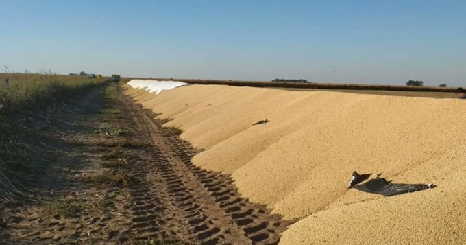 Ver imagen en Twitter