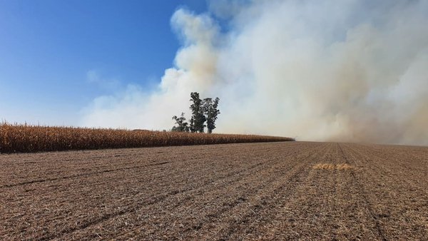 Ver imagen en Twitter