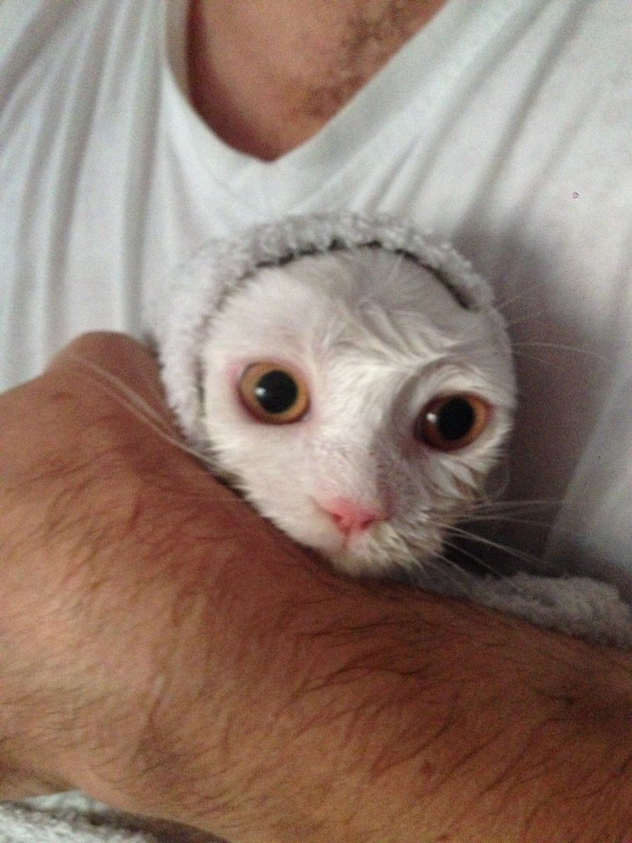 Bi de bizim çocuğa bak her seferinde buz devri karakterine dönüyor