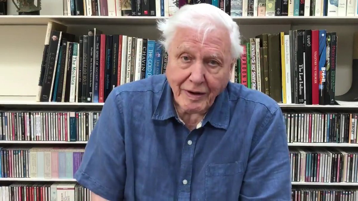 David Attenborough's credibility cannot be measured by human instruments. It is estimated to have a density beyond a neutron star and that a thimbleful of it would crush the earth. The books seem to snuggle in, joyful as they are crushed and absorbed. There is no greater honour.