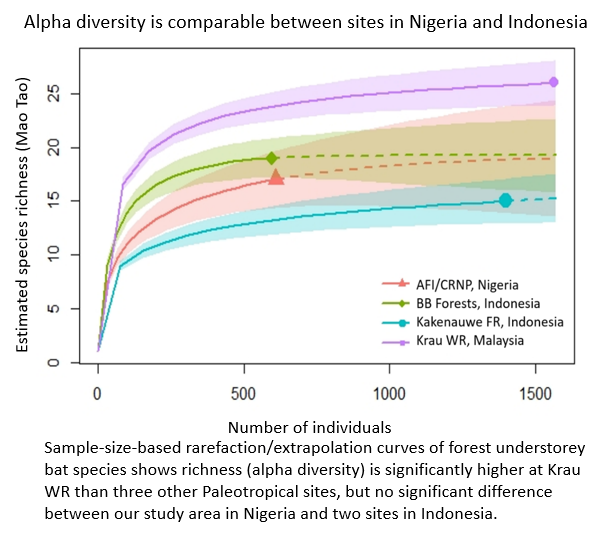 IroroTanshi's tweet photo. 3/5 #WBTC #Conserve2 How did our sites compare to those in Southeast Asia (SEA)? We estimated (rarefaction) species richness of lowland forest understorey 🦇🦇. Alpha div. of bats from our sites in Nigeria was comparable with those in Indonesia, but div. was highest in Malaysia. https://t.co/OlLKX5xaib