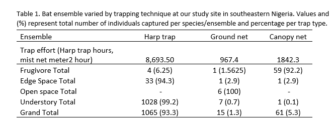 IroroTanshi's tweet photo. 4/5 #WBTC #Conserve2 Our results differ from Findley (1993) because we had access to harp trap captures across both tropical sub-regions. Harp traps target forest understorey 🦇🦇🦇 that evade mist nets. 99% of all understorey bats from our study area were captured in harp traps. https://t.co/3LBgZNFeWn