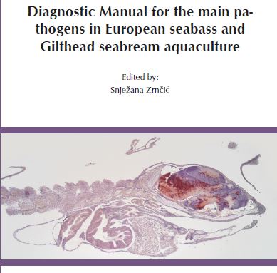 We share the manual developed in <a href="/MedAID_/">MedAID Project</a> entitled Diagnostic Manual for the main pathogens in European seabass and Gilthead seabream aquaculture. bit.ly/36GSO3Y
The MedAid project shares info and activities with <a href="/PerformFISH_EU/">PerformFISH</a> in which APROMAR is involved