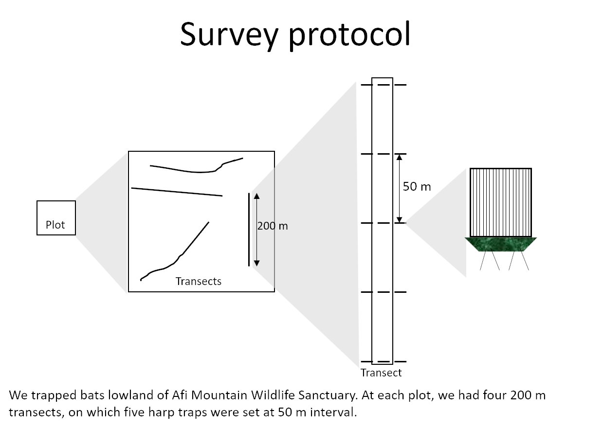 Iroro Tanshi, PhD on X: 2/5 #WBTC #Conserve2 Between 2015-2019, we caught  🦇 in harp traps and mist nets in unlogged forests in southeastern Nigeria.  We compared our survey to 🦇 abundance