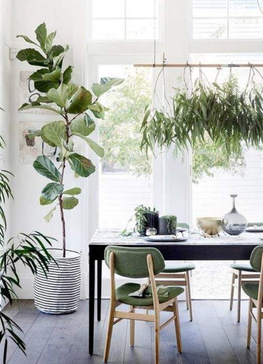 인간에게가을은
수확의시간
함께모이는
시간이다

자연에게는
가을은
씨를뿌리고
외부로
흩어지는시간이다