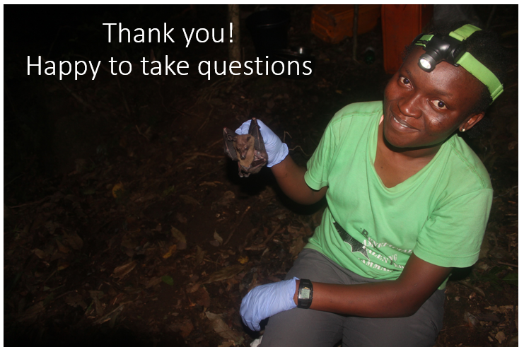 IroroTanshi's tweet photo. 5/5 #WBTC #Conserve2 To answer our question, Afrotropical bats are not depauperate! Previously established patterns are likely due to limited sampling that under-represented forest understorey 🦇🦇🦇. We reiterate the value of contemporary techniques in tropical 🦇 surveys. https://t.co/kg7amzYavq