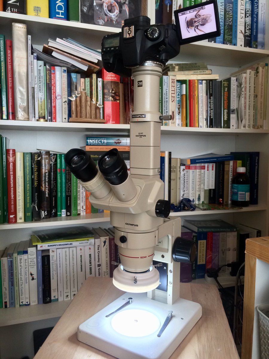 BlaenavonNature's tweet photo. My Olympus Microscope from Kuwait is now fully built with parts from America, Holland, Germany, China and Malaysia! Some of the parts are quite scarce but I now have a Microscope worth twice the sum of its parts if bought in the UK. Looking forward to using it. #olympusmicroscope https://t.co/eUvAfU5s2P