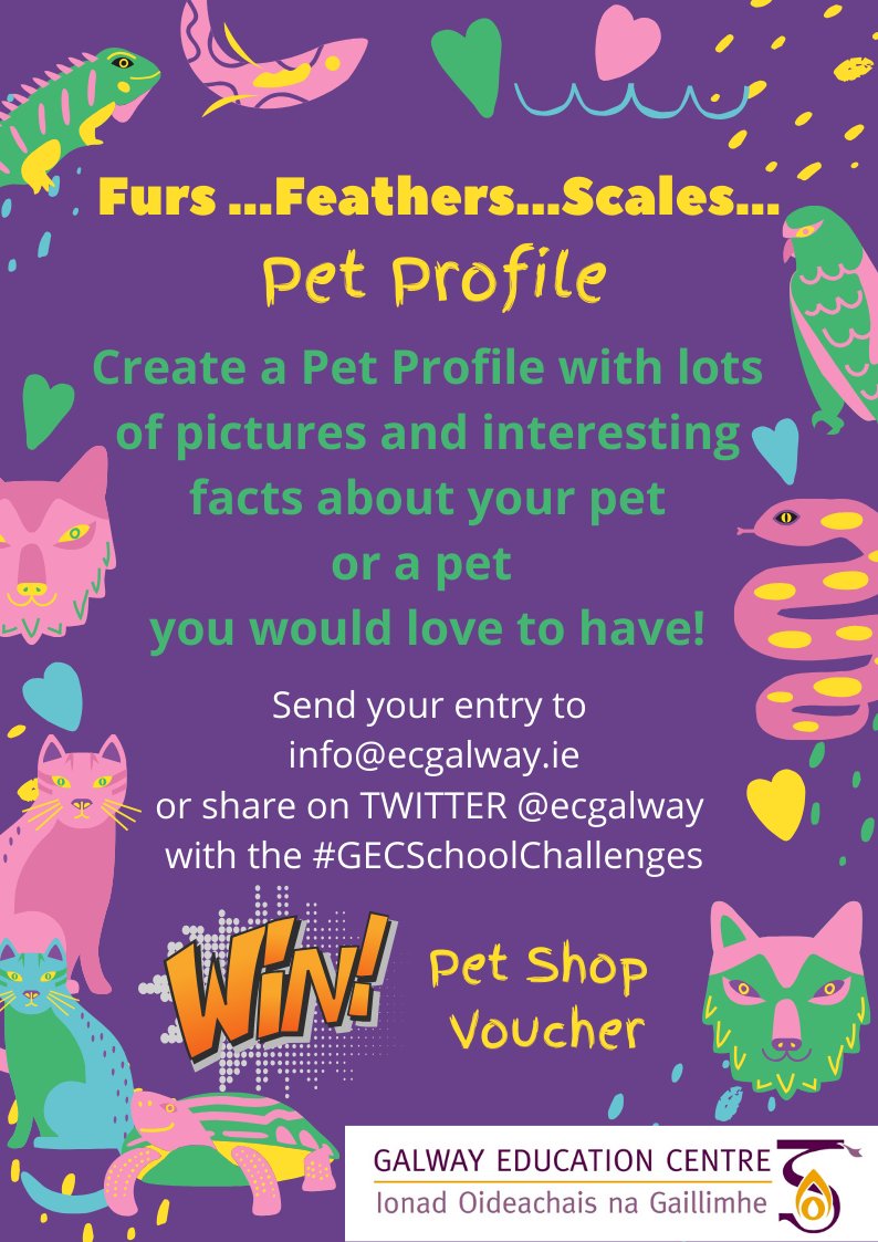 Galway EC tweet media